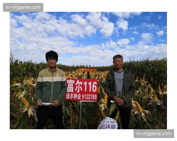 泳衣科技迭代放缓，世界泳联新规对运动员成绩影响几何？